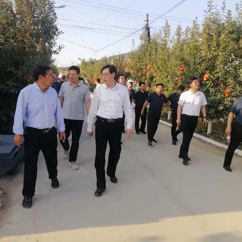 持续改善人居环境，全力打造美丽乡村—铁厂镇迎接全市乡村振兴、美丽家园拉练观摩