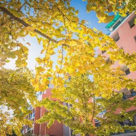 杨建涛工作总结