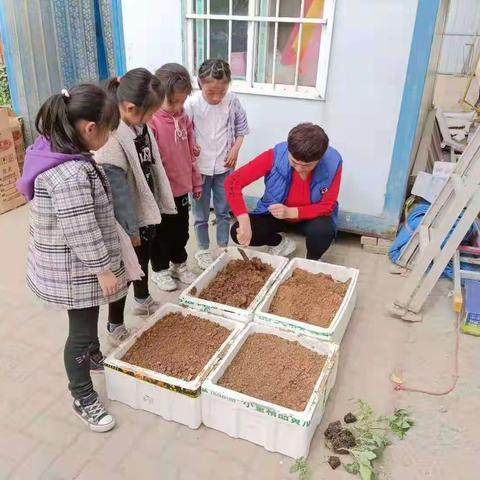 我是劳动小能手