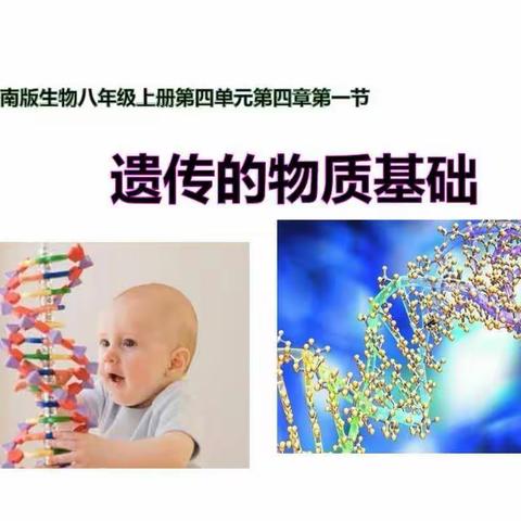 立足精细化管理，聚焦高效课堂----记阳信县初中生物名师工作室高效课堂研讨活动