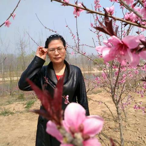 羊寨桃花节时刻赏桃花