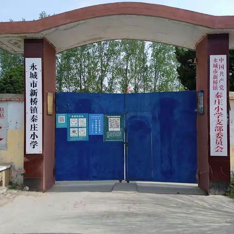 潜心线上教学，师生共同成长一一新桥镇秦庄小学停课不停学活动纪实。