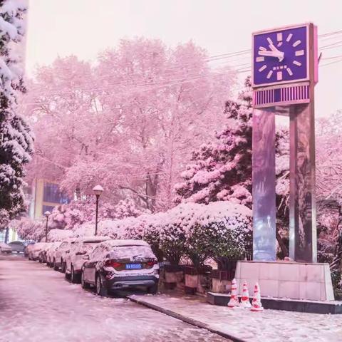 千树万树梨花开