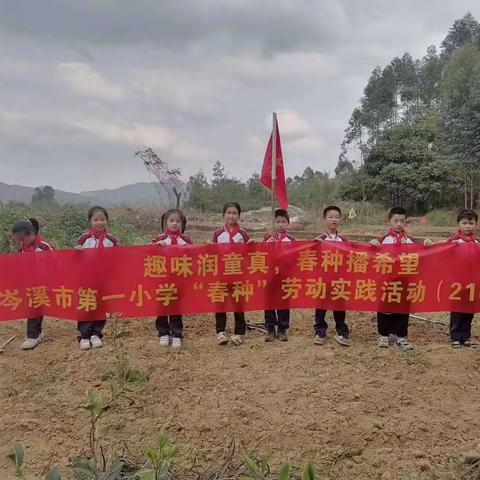 “趣味润童真，春种播希望”——岑溪市第一小学“春种”主题劳动实践活动(2102班)