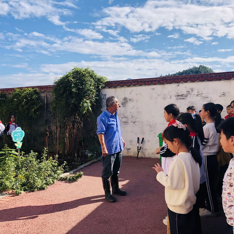 草药飘香 沁人心脾——麻沙中心小学“百草园”冬藏纪实