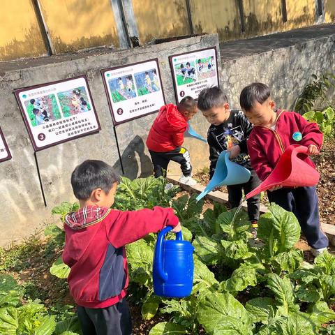 小小菜园—浇水记