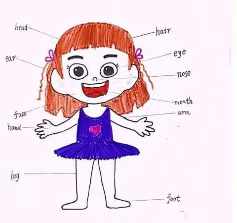 【福庄小学·双减】Fly English dream ——福庄小学三年级My body小巧手活动