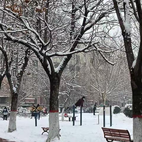 【退役军人事务局】战疫情，不畏严寒，破冰扫雪