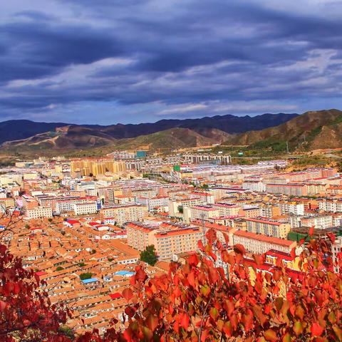 学习二十大 奋进新征程|崇礼区文联主题摄影作品展