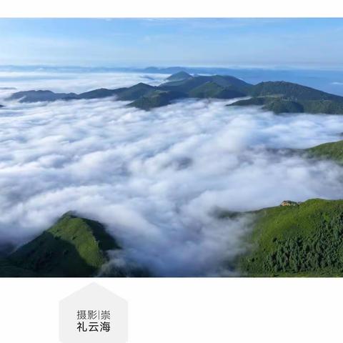 这么近 那么美 周末到河北|崇礼区摄影家协会夏季第二期网络摄影展