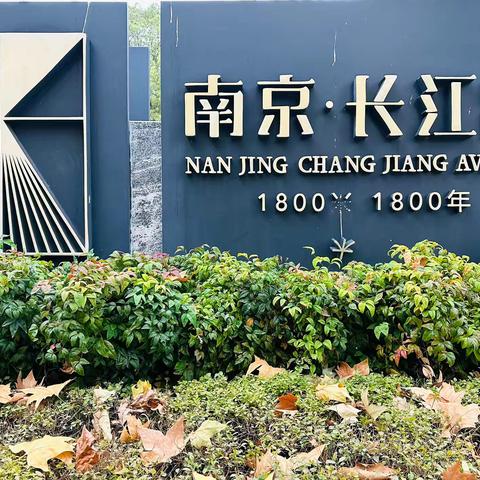 一条长江路，半部金陵史