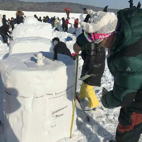 魅力东城 冰雪追梦----二道区参加长春市雪雕大赛活动纪实