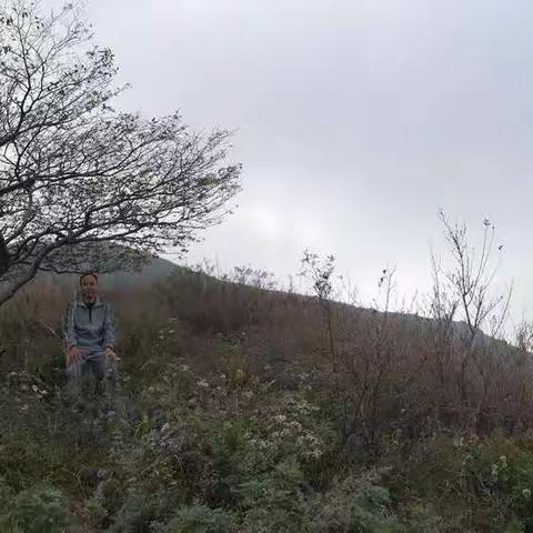 2020年10月7日，淳化仲山铁瓦殿爬山之旅