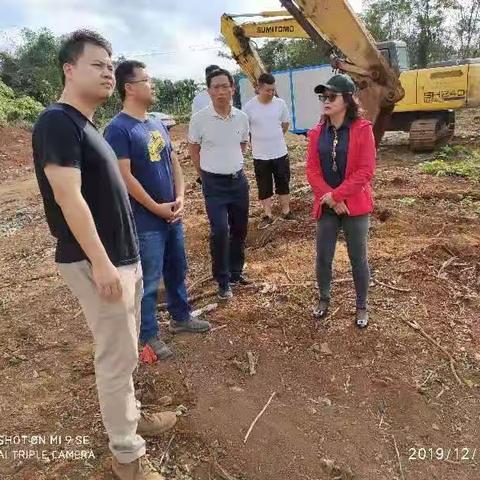 区委常委、副区长陈新带队开展“双访双看”主题调研推进项目建设