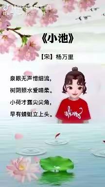 中班周末总结