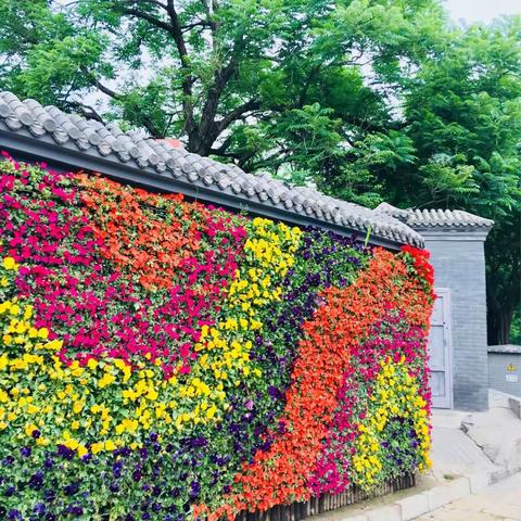 前门三里河
