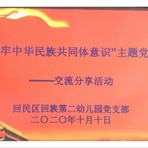 “铸牢中华民族共同体意识”主题党日——回二幼党支部开展分享交流活动