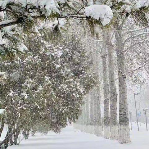 小年大雪