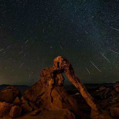 大象观星雨