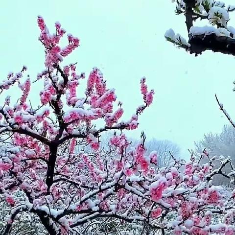 湖南郴州崀山紫鹊界旺溪风光