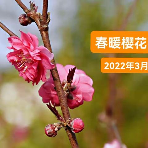 漫步者的美篇