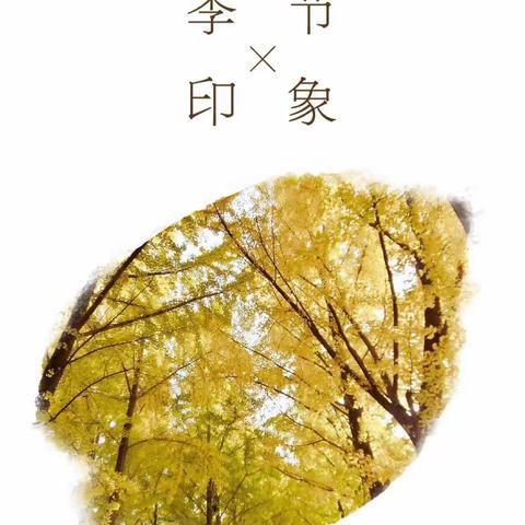 重阳之时秋意浓，点点浓情在延小。——三年级组重阳佳节