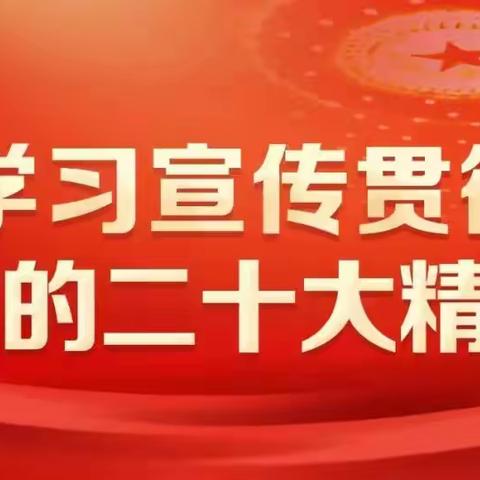 踔厉奋发新时代 笃行不怠向未来——党的二十大报告学习交流会