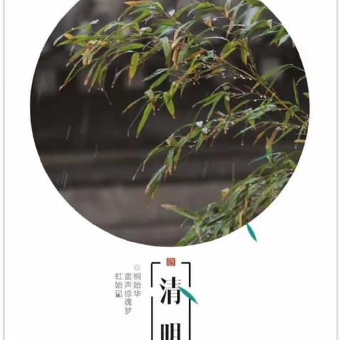 “绿”意清明 浸润童心——息县第九小学六三班“我们的节日•清明节”系列主题活动