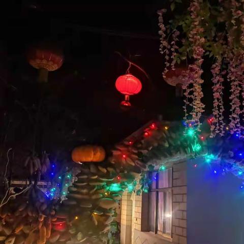 “地道农家院  纯朴家乡情”                  ——相约庭院印象