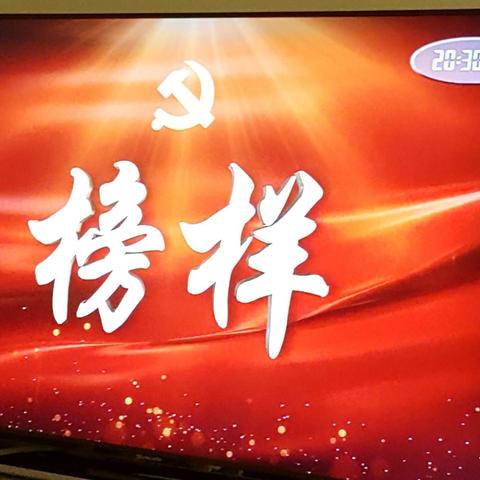 开展"两学一做"活动 长南村组织党员干部观看学习《榜样3》