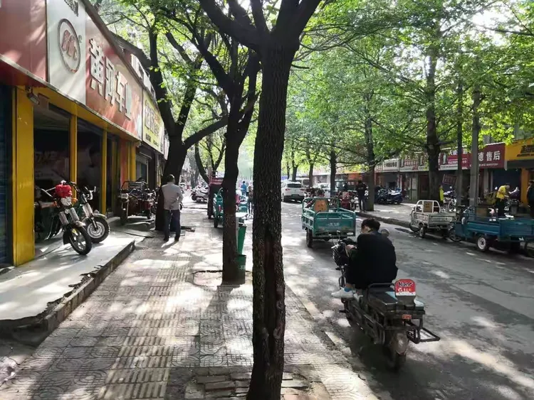 太华路执法中队4月21日工作动态