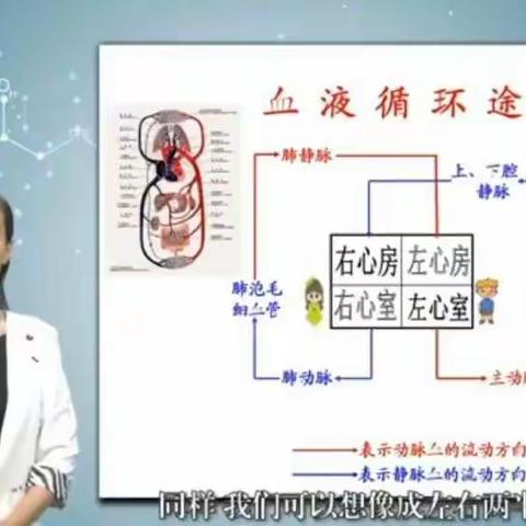 【医学技术系】教学竞赛展风采，蓄力成长向未来 ——青年教师参加省微课、多媒体课件大赛