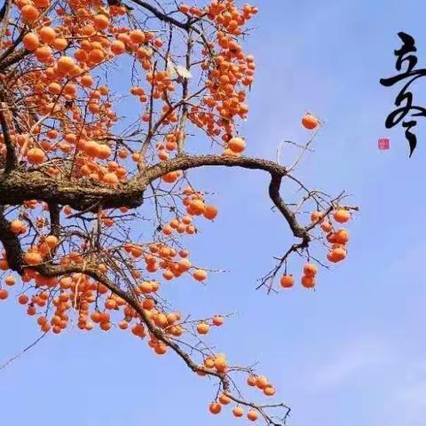 【二十四节气】快乐立冬.暖意浓浓，立冬节气活动