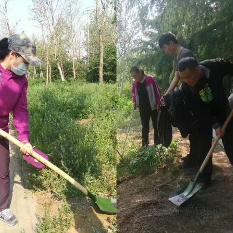 国家卫生城市复审我们在行动——区人社局开展系列义务劳动（三）