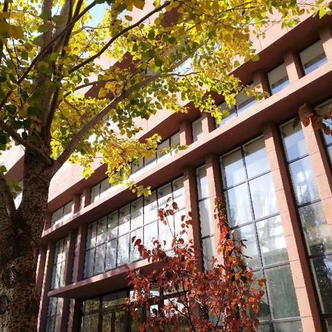 双减真落地，研途花盛开-兴隆台区初中地理“名师带动型”送研送教活动记事