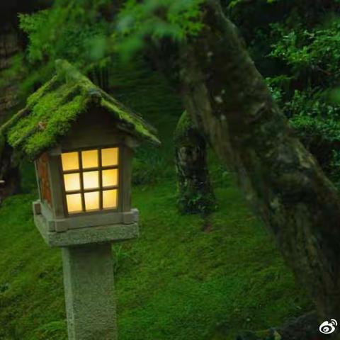 那年那天，他们从这儿走过。——记外教Josh和“天才少女”Terry在密州路的时光