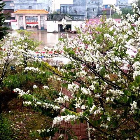 “传红色精神  迎百年党庆”——庆丰镇潘岭小学举行2021年春季学期开学典礼暨表彰大会