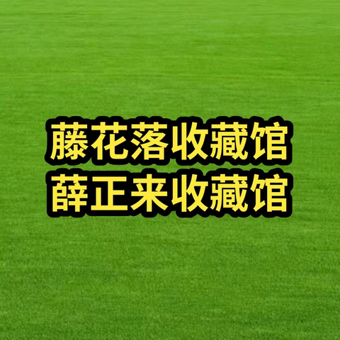 参观薛正来藤花落收藏馆