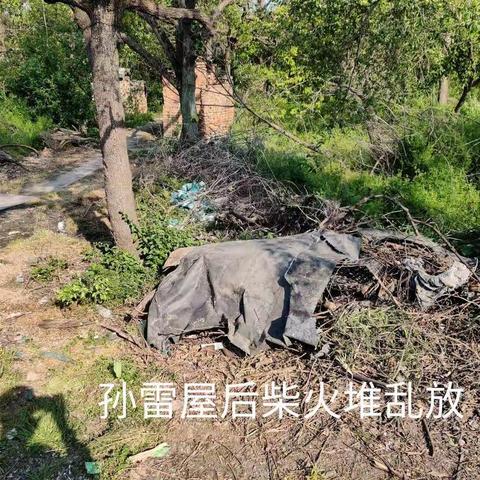 王庄村吴庄人居环境