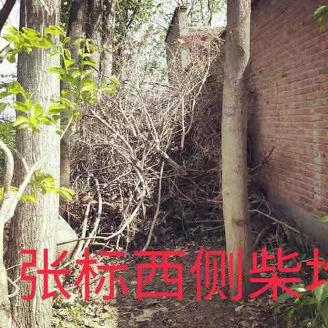 王庄村人居环境