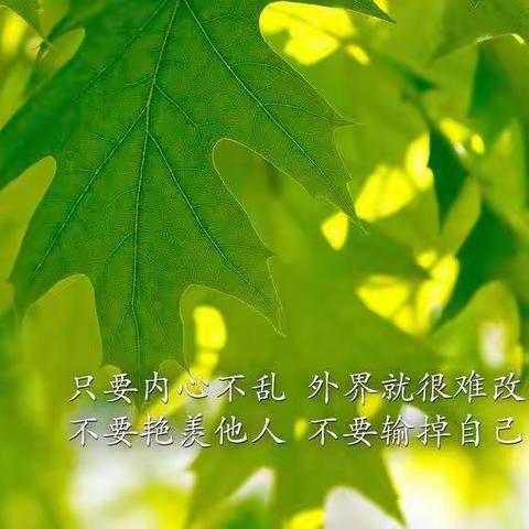 西街社区早报：11月8日 星期四