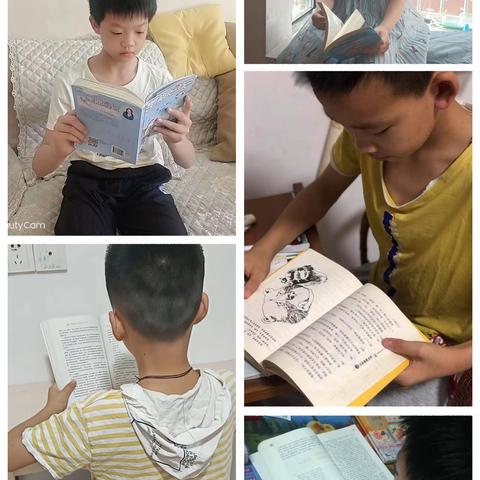 阅读自然 书香致远——站前小学五1班阅读掠影