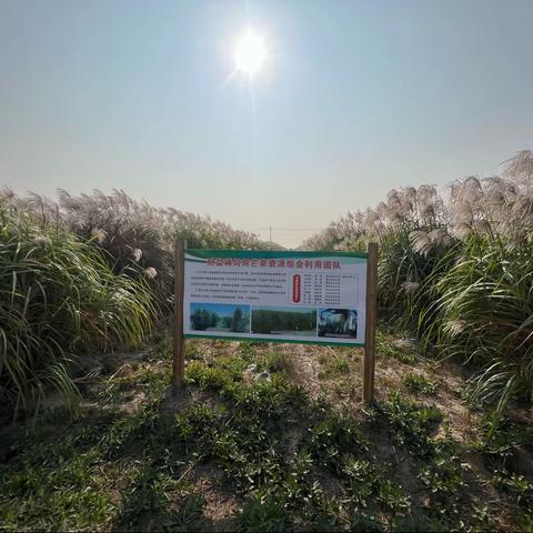 周功克教授，把牧草种成花儿……