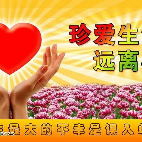 凉亭乡大山小学“珍爱生命，远离毒品” 主题班会