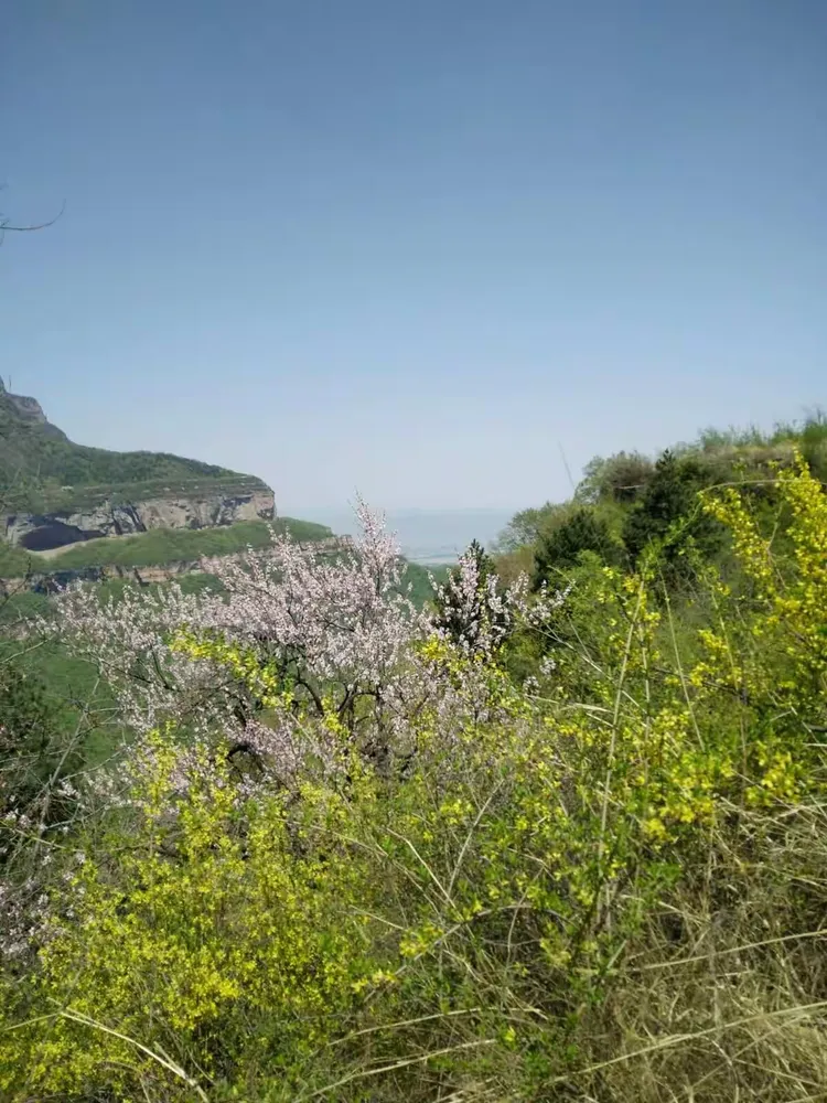 黄华山一游，黄华山上黄花香