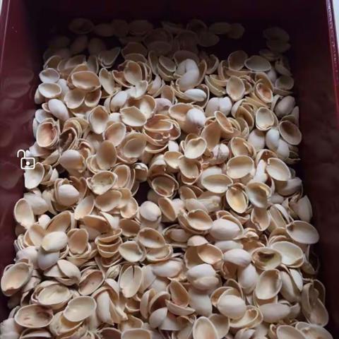 2月16日活动安排