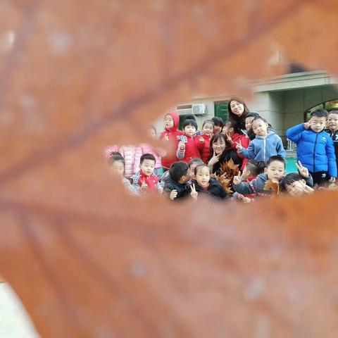 一叶落知天下秋