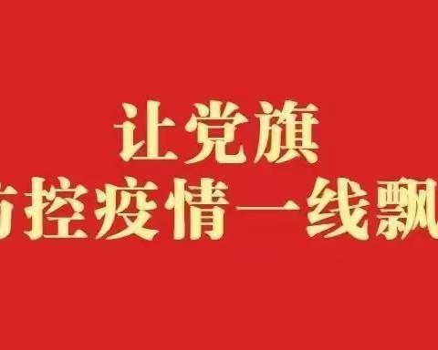 同心抗疫 党员引领显担当