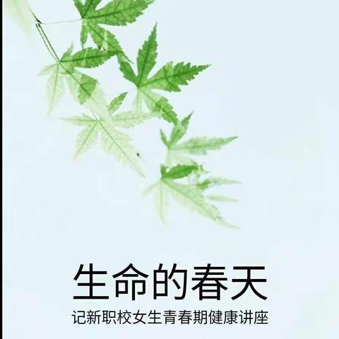 晓风拂月的美篇