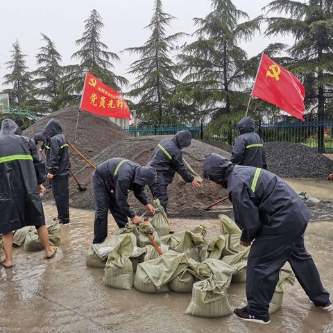 党员报到，志愿者报到—抢险保通突击队冒雨装沙袋